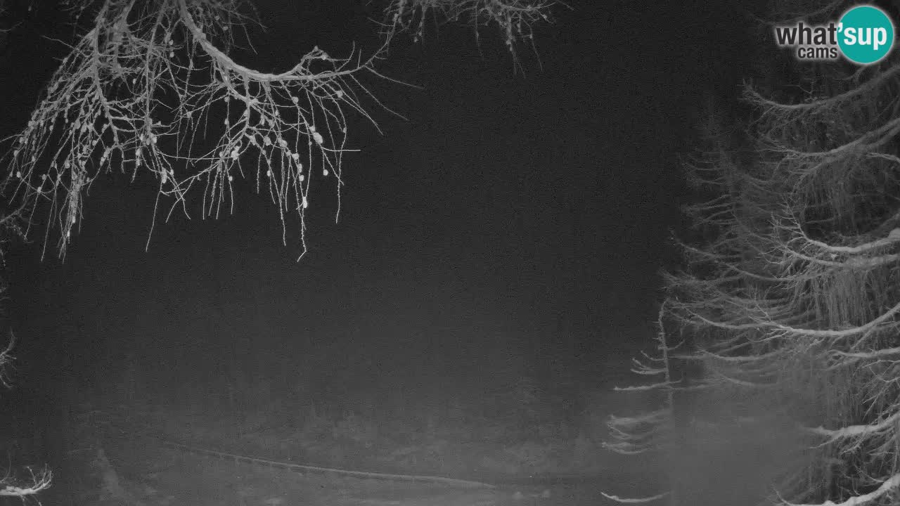 Webcam en direct Vršič – Maison Erjavčeva – Slovénie