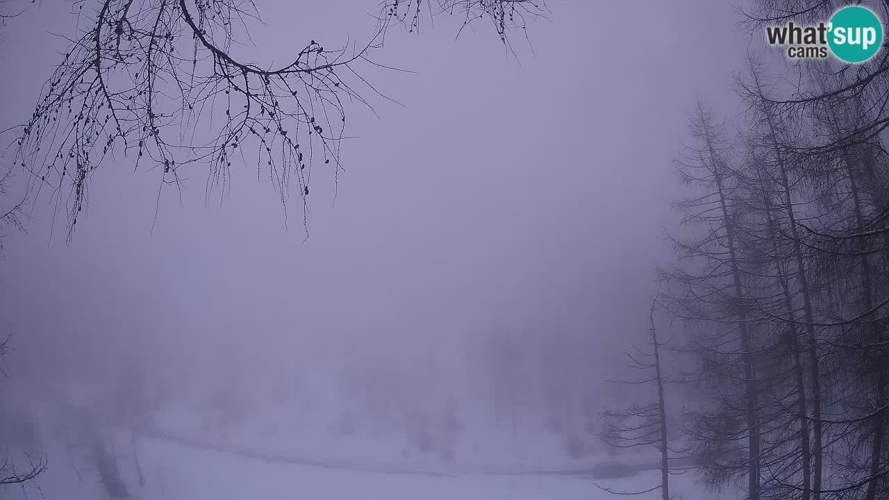 Live webcam Vršič – Erjavčeva house – Slovenia