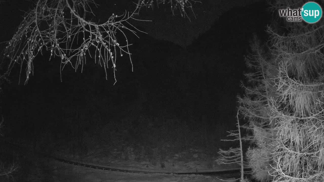 Cámara web en vivo Vršič – Casa Erjavčeva – Eslovenia