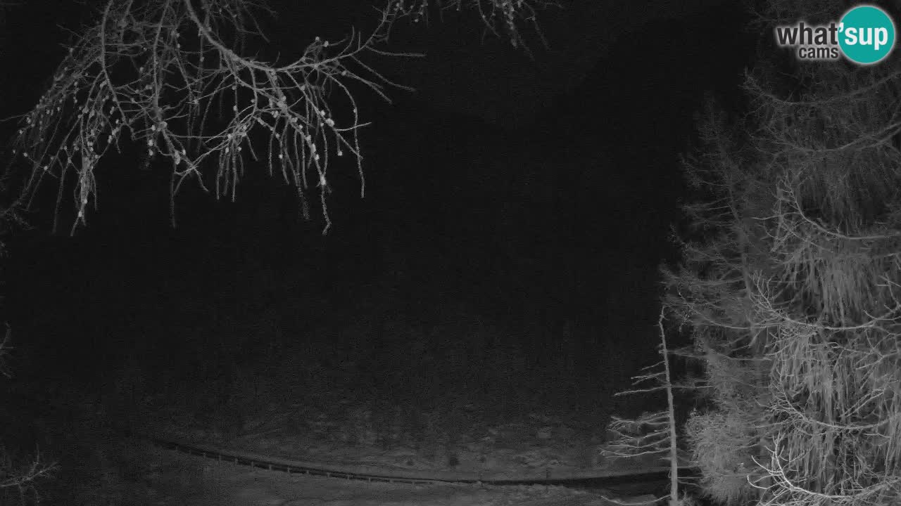 Live webcam Vršič – Baita di montagna Erjavčeva – Slovenia