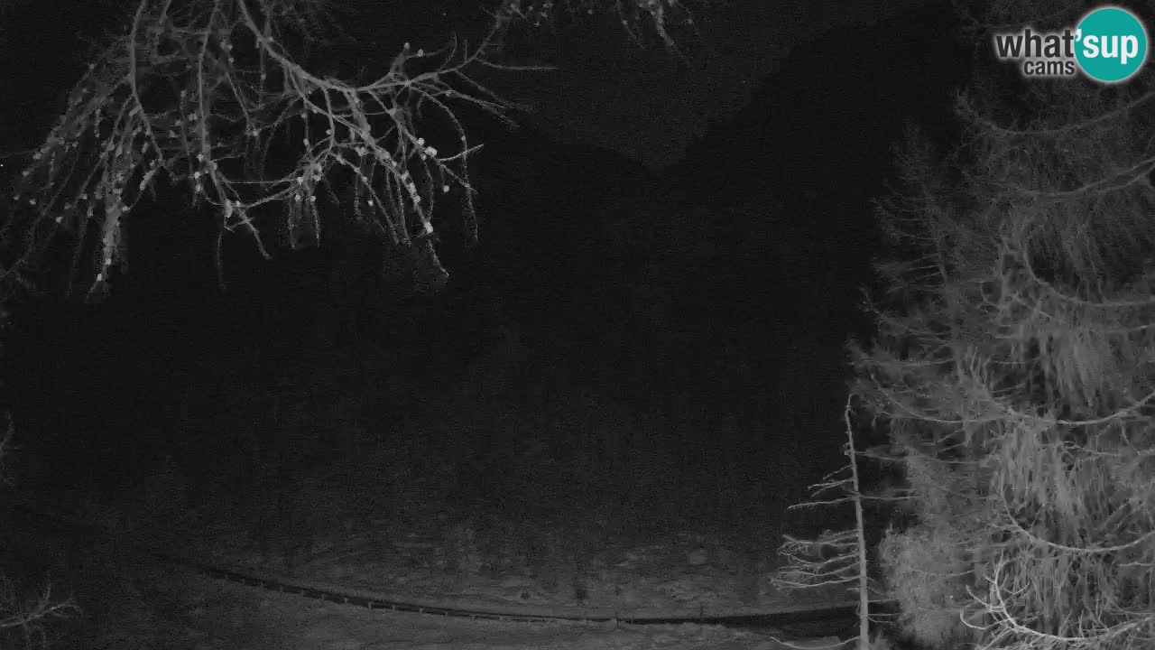 Live webcam Vršič – Baita di montagna Erjavčeva – Slovenia