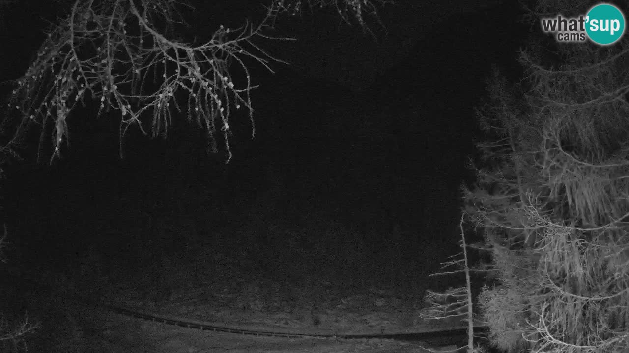 Live Webcam Vršič – Haus Erjavčeva – Slowenien