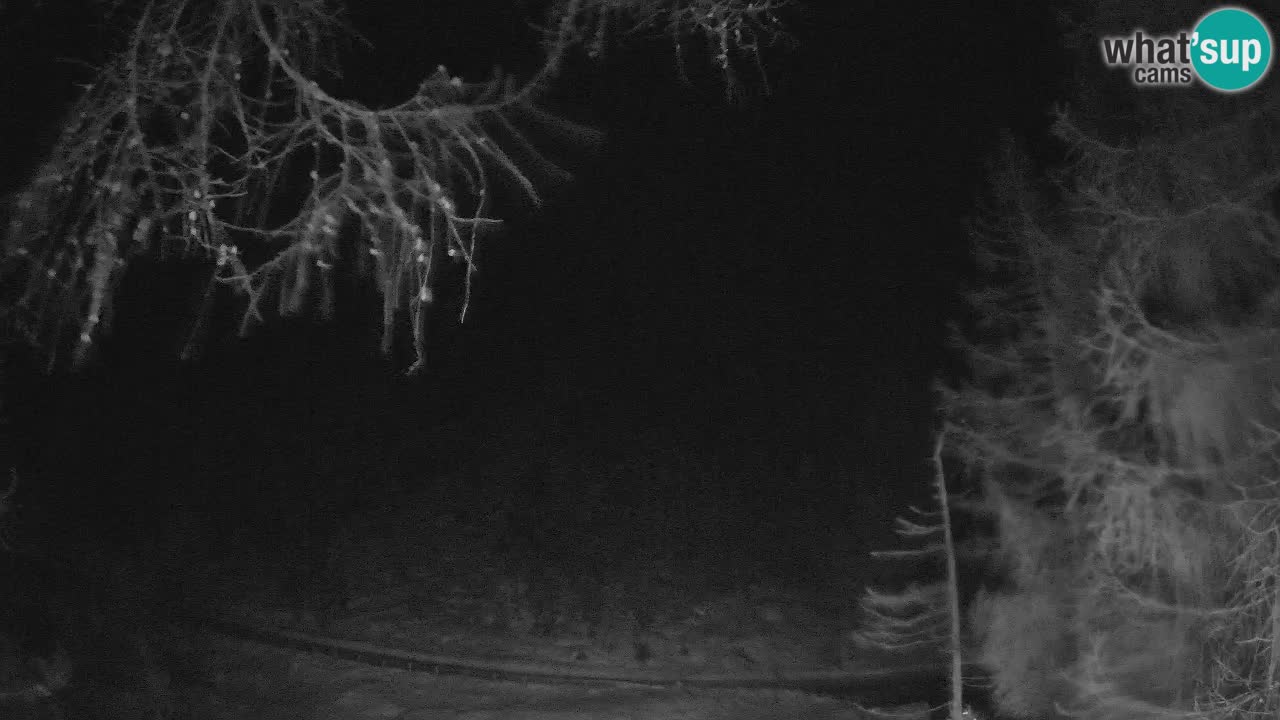 Webcam en direct Vršič – Maison Erjavčeva – Slovénie