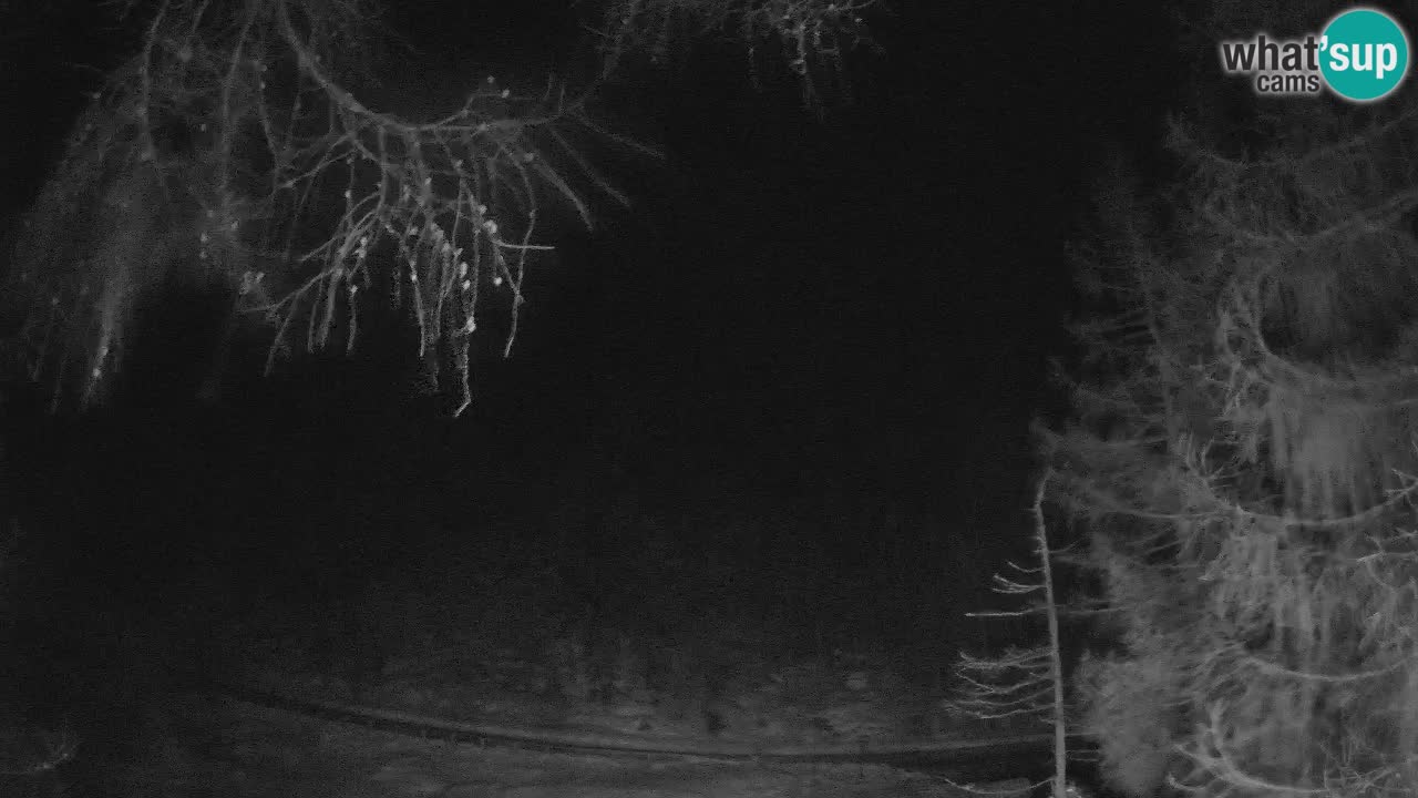 Live Webcam Vršič – Haus Erjavčeva – Slowenien