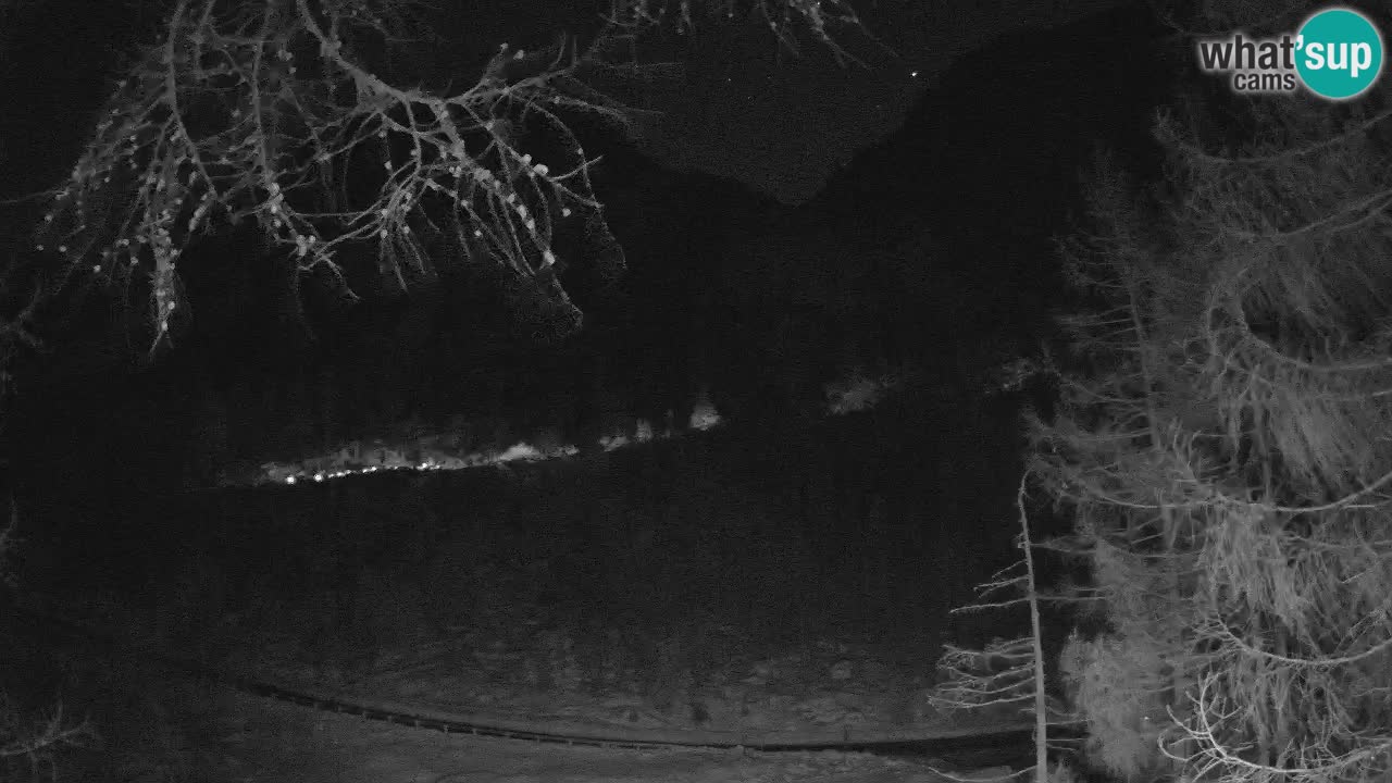 Web kamera Vršič – Erjavčeva kuca – Slovenija