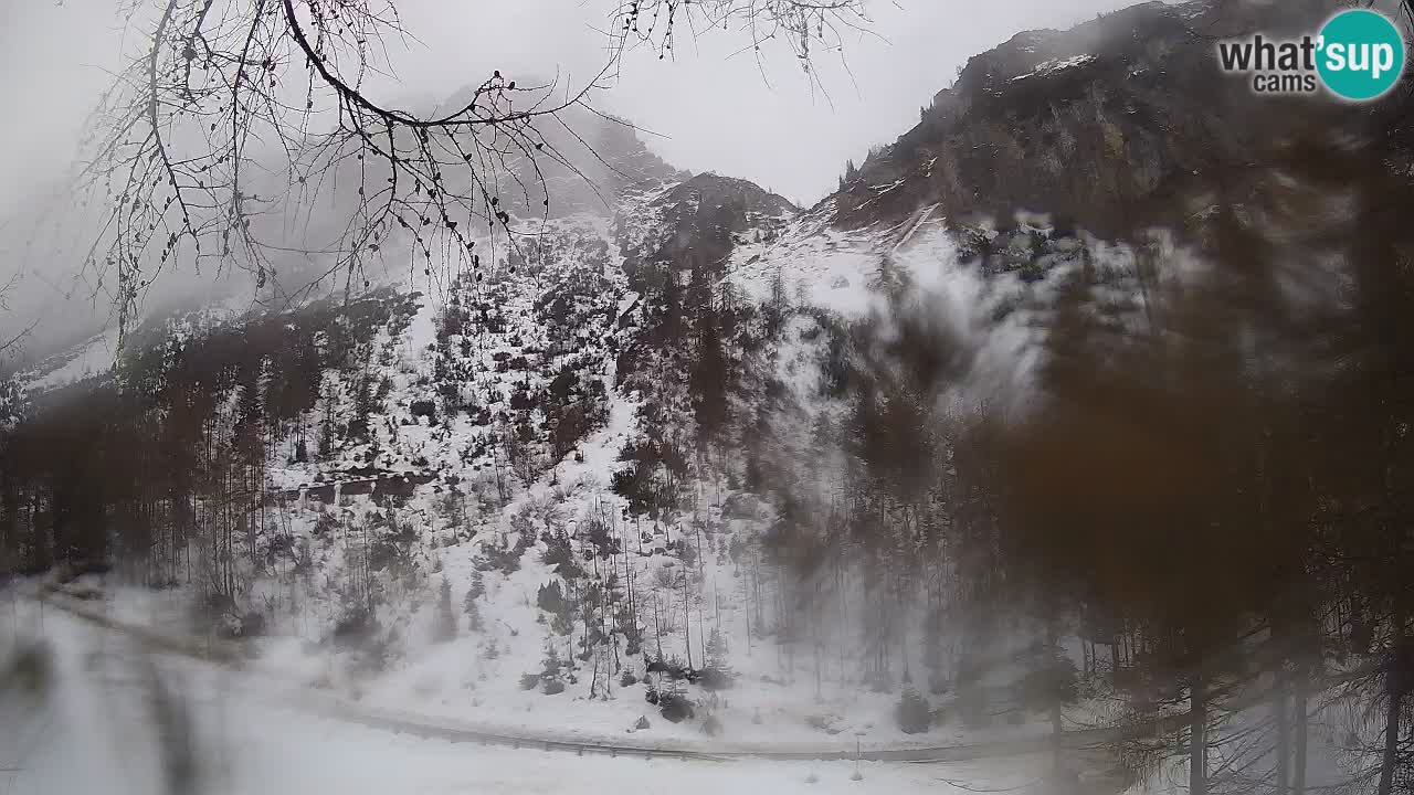 Live webcam Vršič – Baita di montagna Erjavčeva – Slovenia