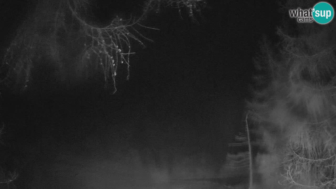 Live webcam Vršič – Baita di montagna Erjavčeva – Slovenia