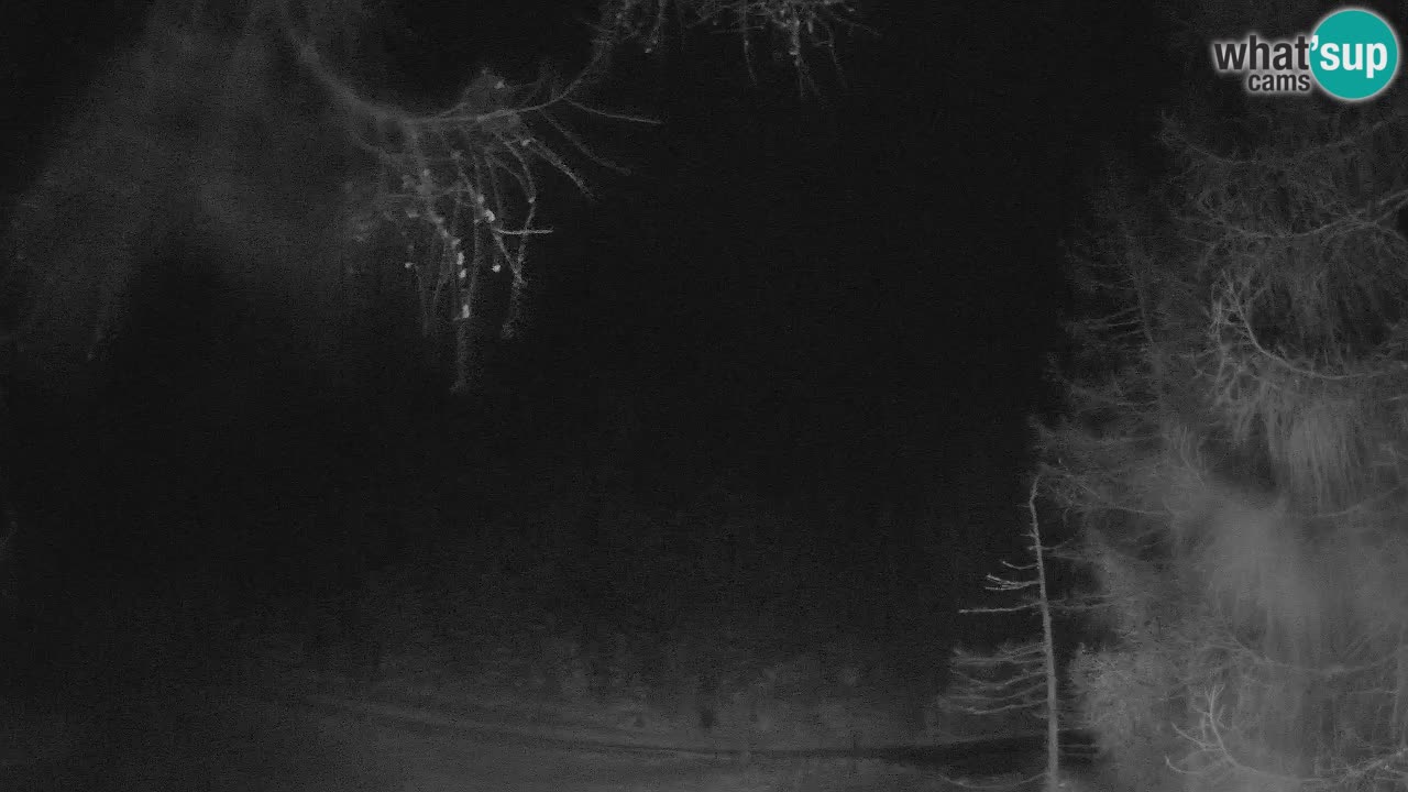 Live webcam Vršič – Erjavčeva house – Slovenia