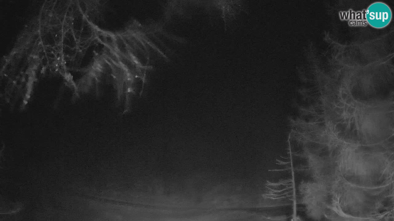 Webcam en direct Vršič – Maison Erjavčeva – Slovénie