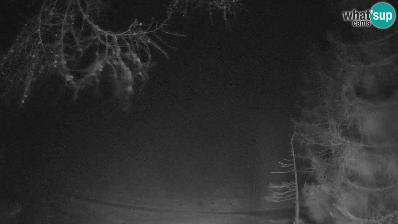 Live Webcam Vršič – Haus Erjavčeva – Slowenien