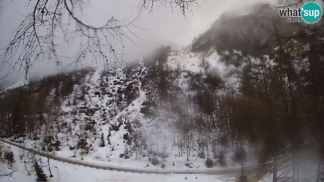 Cámara web en vivo Vršič – Casa Erjavčeva – Eslovenia