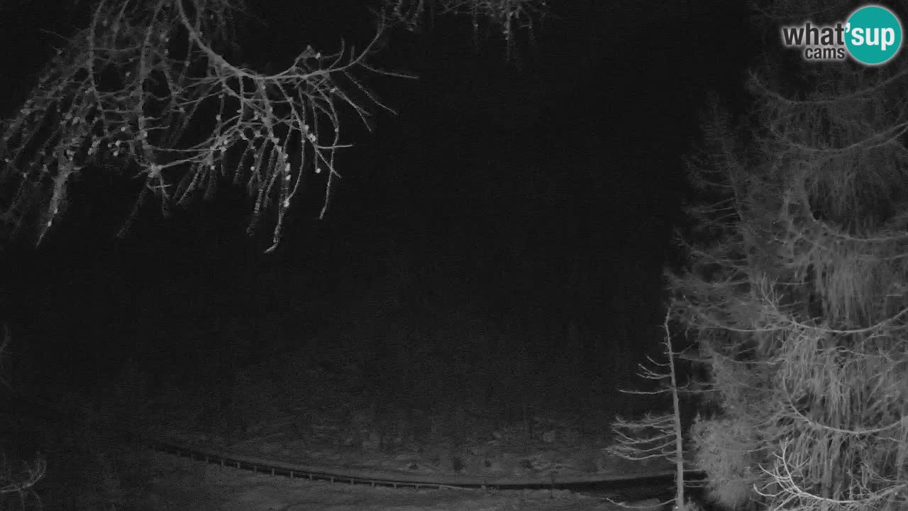 Cámara web en vivo Vršič – Casa Erjavčeva – Eslovenia