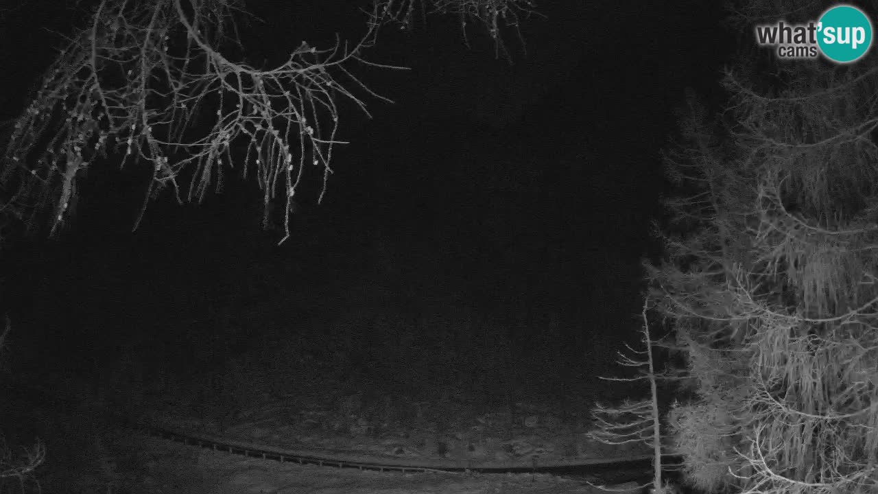 Live webcam Vršič – Erjavčeva house – Slovenia