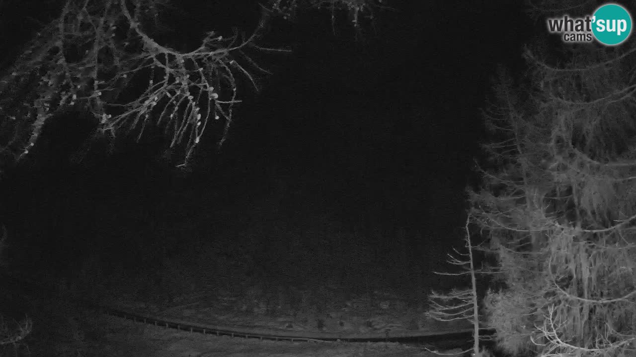 Web kamera Vršič – Erjavčeva kuca – Slovenija