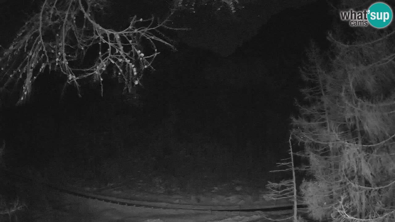 Web kamera Vršič – Erjavčeva kuca – Slovenija