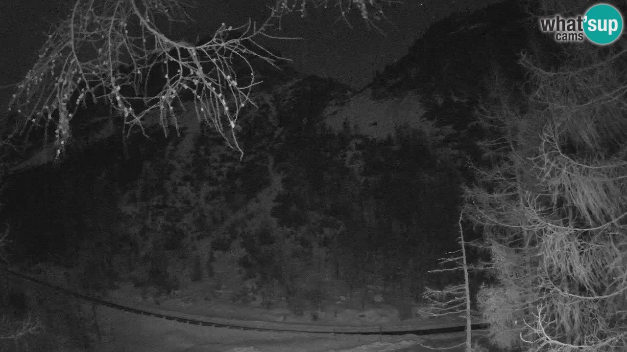 Webcam en direct Vršič – Maison Erjavčeva – Slovénie