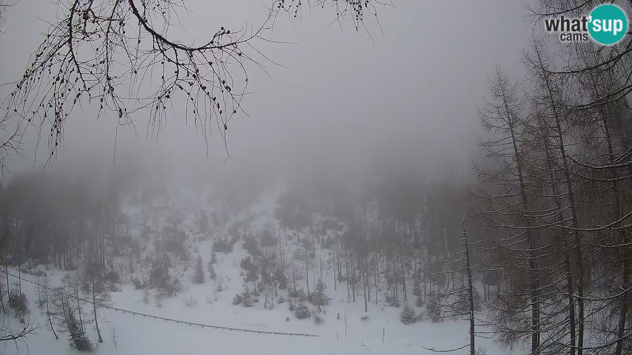 Live Webcam Vršič – Haus Erjavčeva – Slowenien