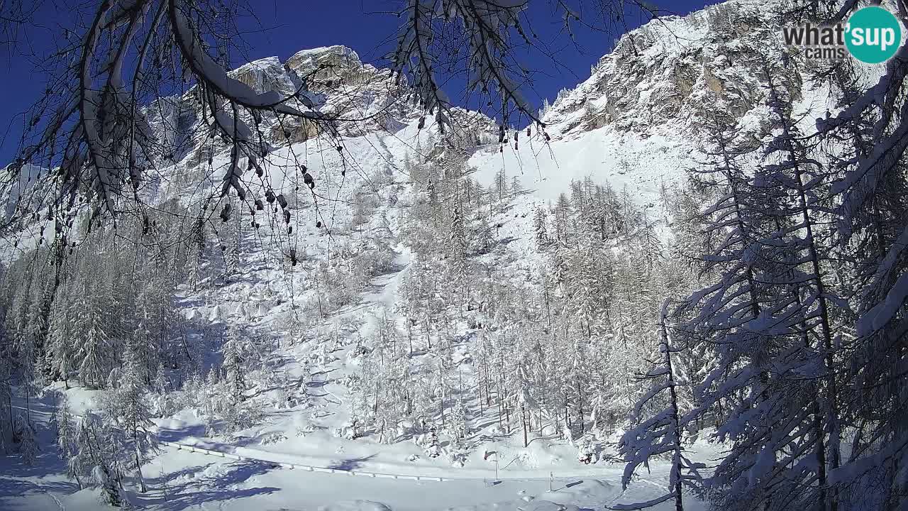 Cámara web en vivo Vršič – Casa Erjavčeva – Eslovenia