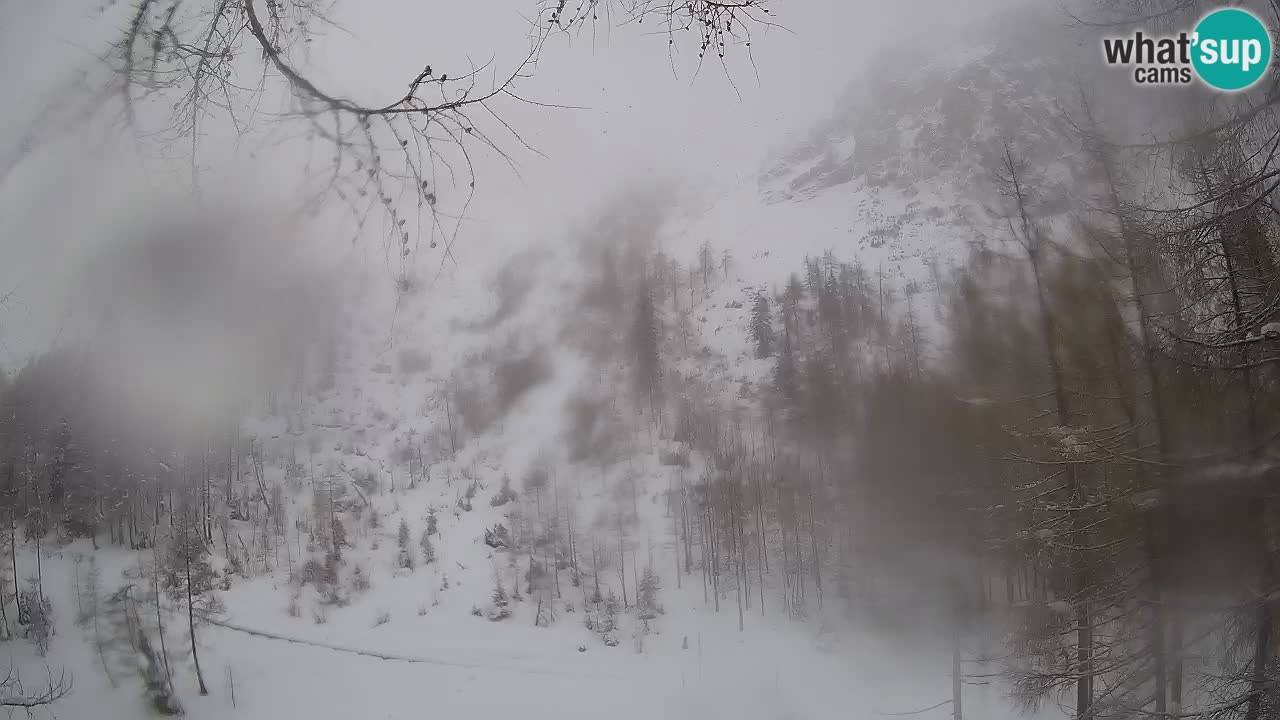 Spletna Kamera Vršič – Erjavčeva hiša – Slovenija