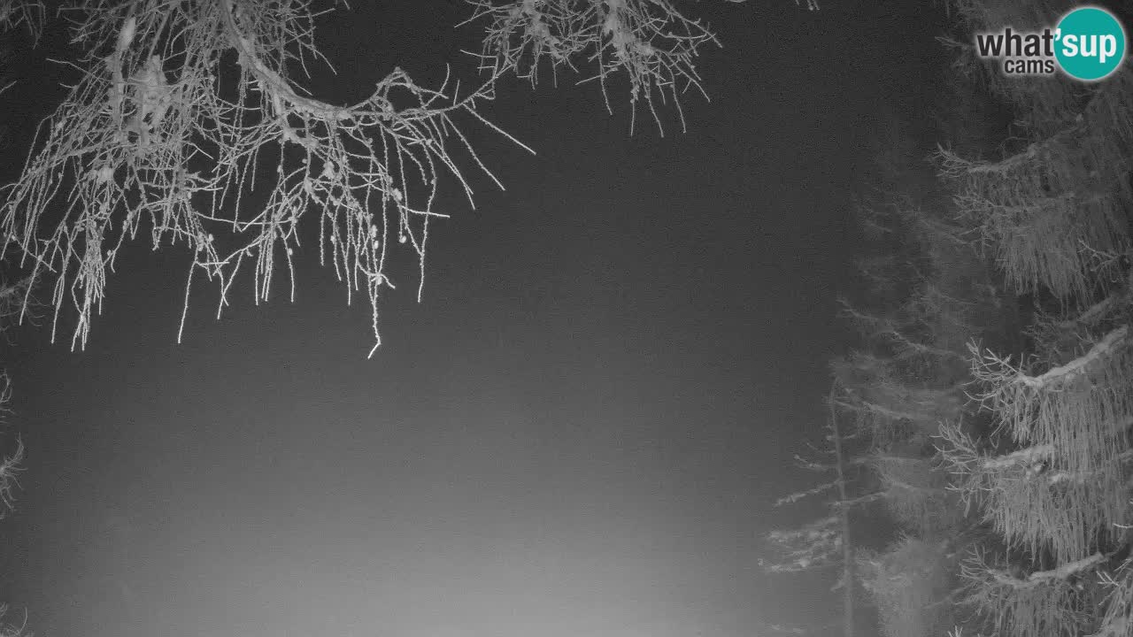 Web kamera Vršič – Erjavčeva kuca – Slovenija