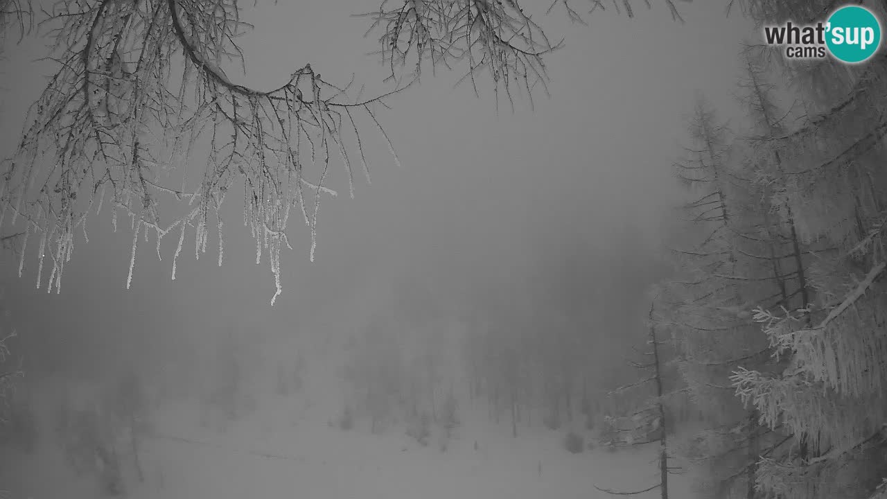 Web kamera Vršič – Erjavčeva kuca – Slovenija