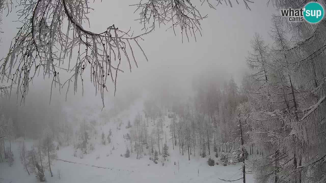 Live webcam Vršič – Baita di montagna Erjavčeva – Slovenia