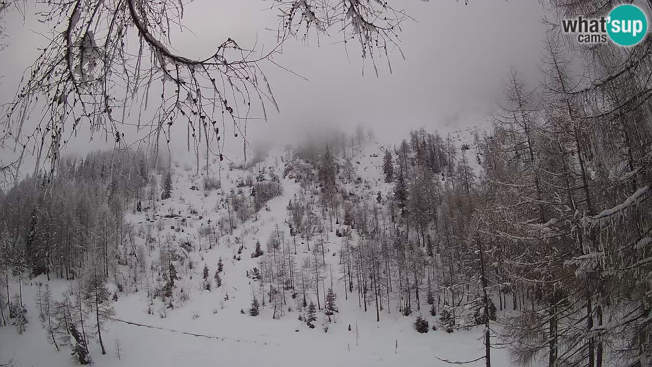 Live Webcam Vršič – Haus Erjavčeva – Slowenien