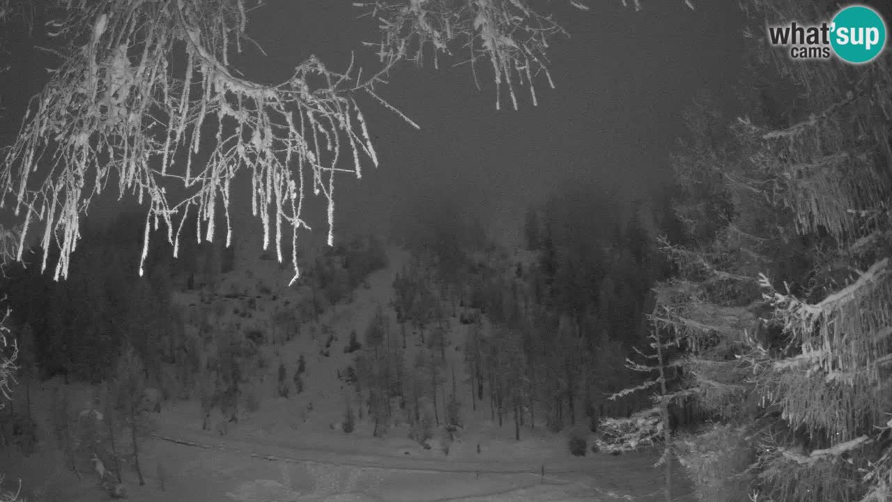 Live Webcam Vršič – Haus Erjavčeva – Slowenien