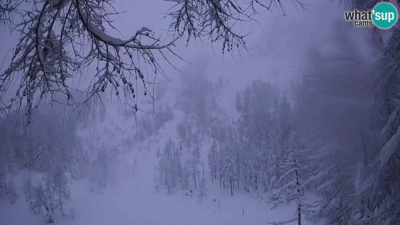 Live webcam Vršič – Erjavčeva house – Slovenia