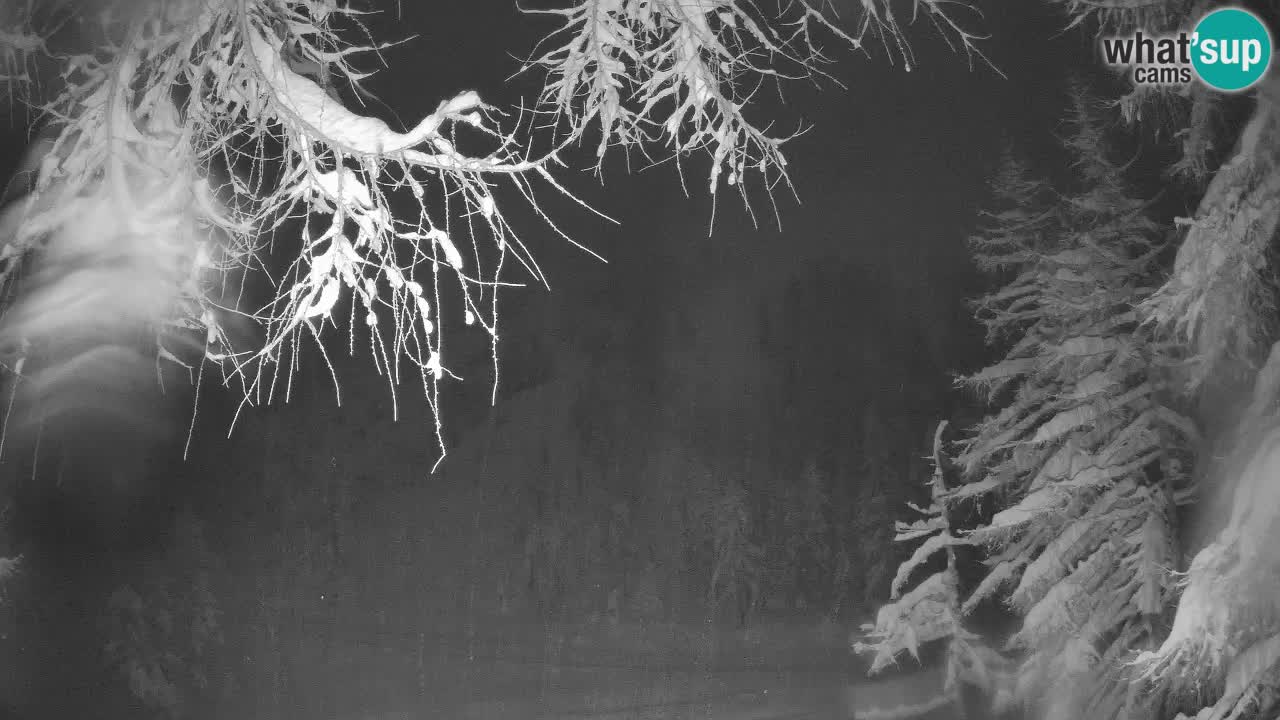 Live webcam Vršič – Baita di montagna Erjavčeva – Slovenia