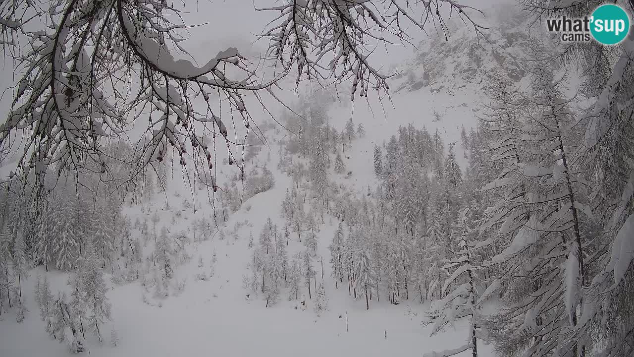 Cámara web en vivo Vršič – Casa Erjavčeva – Eslovenia