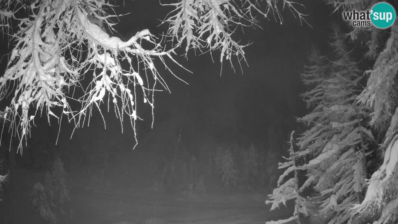 Web kamera Vršič – Erjavčeva kuca – Slovenija