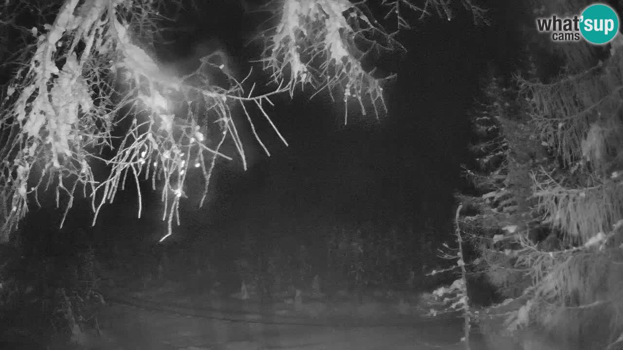 Live Webcam Vršič – Haus Erjavčeva – Slowenien