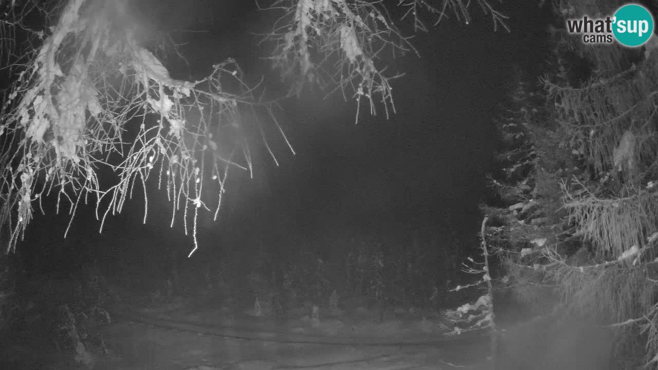 Webcam en direct Vršič – Maison Erjavčeva – Slovénie