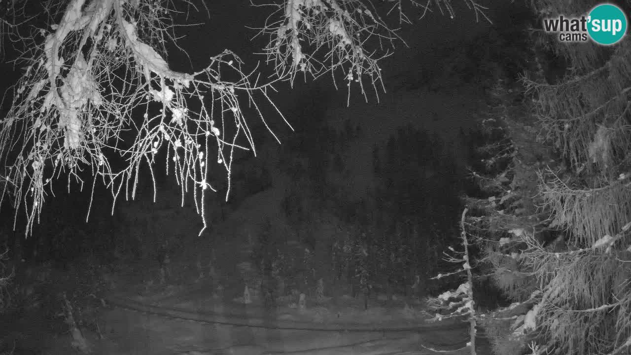 Webcam en direct Vršič – Maison Erjavčeva – Slovénie