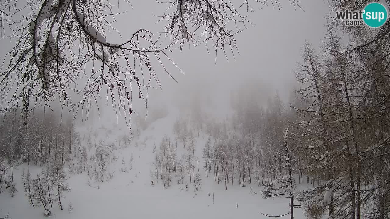 Live webcam Vršič – Baita di montagna Erjavčeva – Slovenia