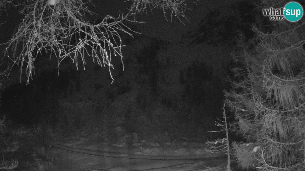 Webcam en direct Vršič – Maison Erjavčeva – Slovénie