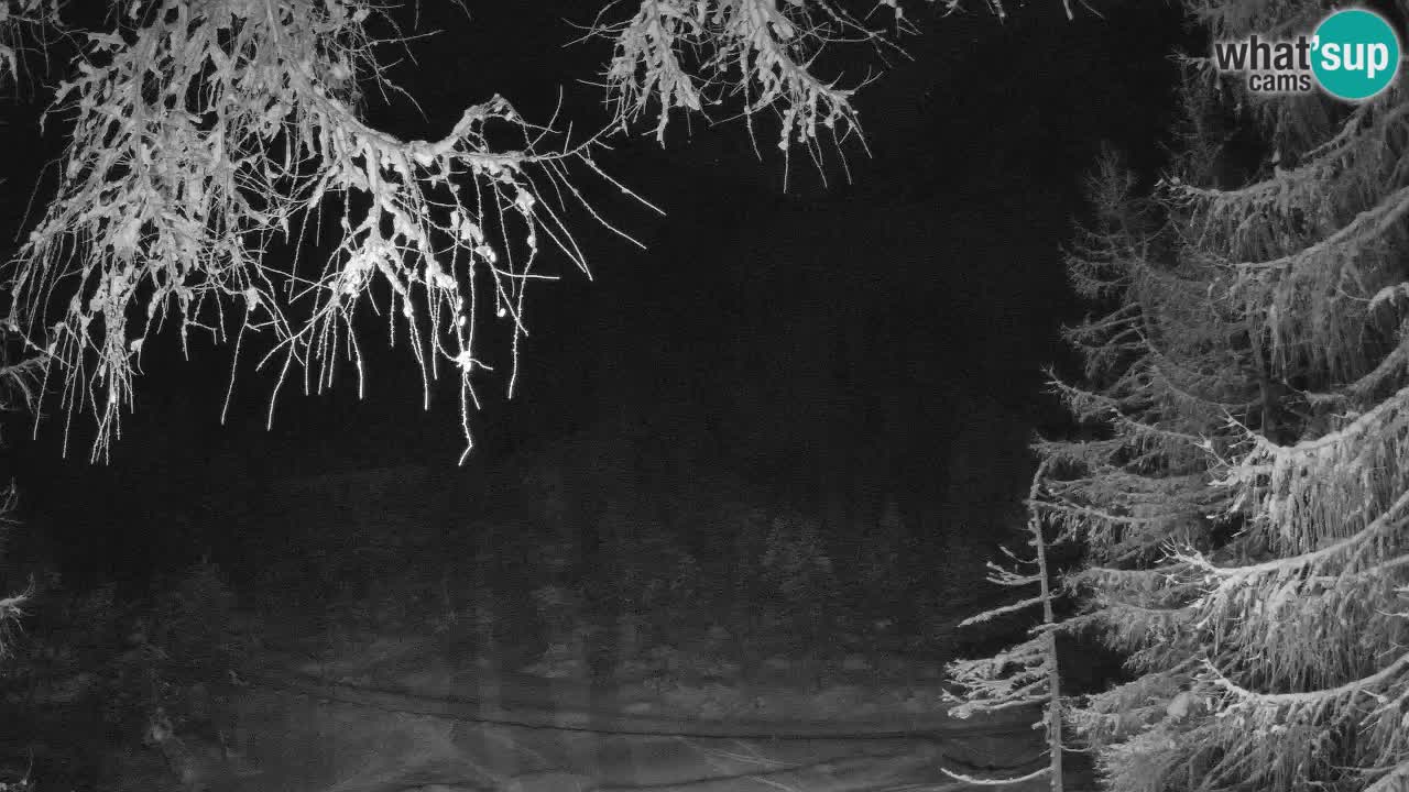 Live Webcam Vršič – Haus Erjavčeva – Slowenien