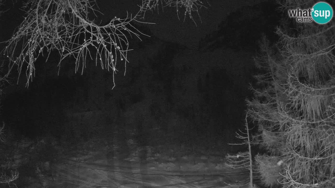 Cámara web en vivo Vršič – Casa Erjavčeva – Eslovenia