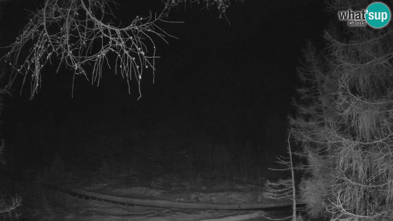 Webcam en direct Vršič – Maison Erjavčeva – Slovénie