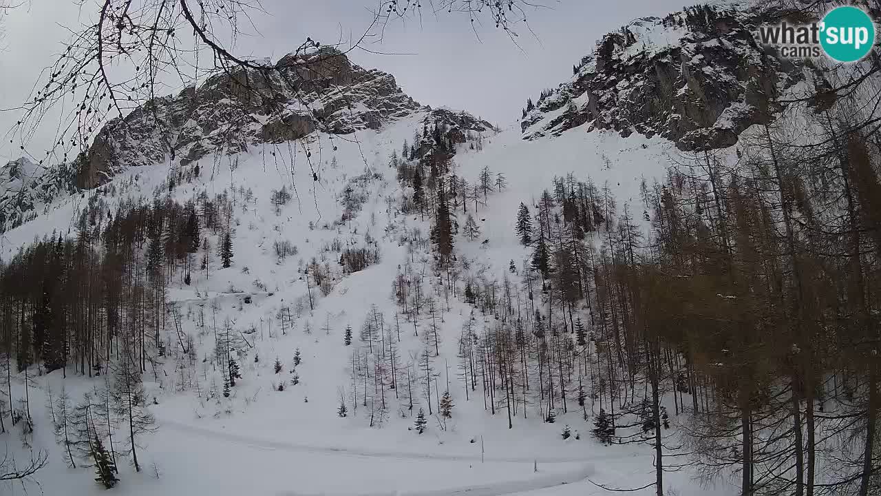 Live Webcam Vršič – Haus Erjavčeva – Slowenien
