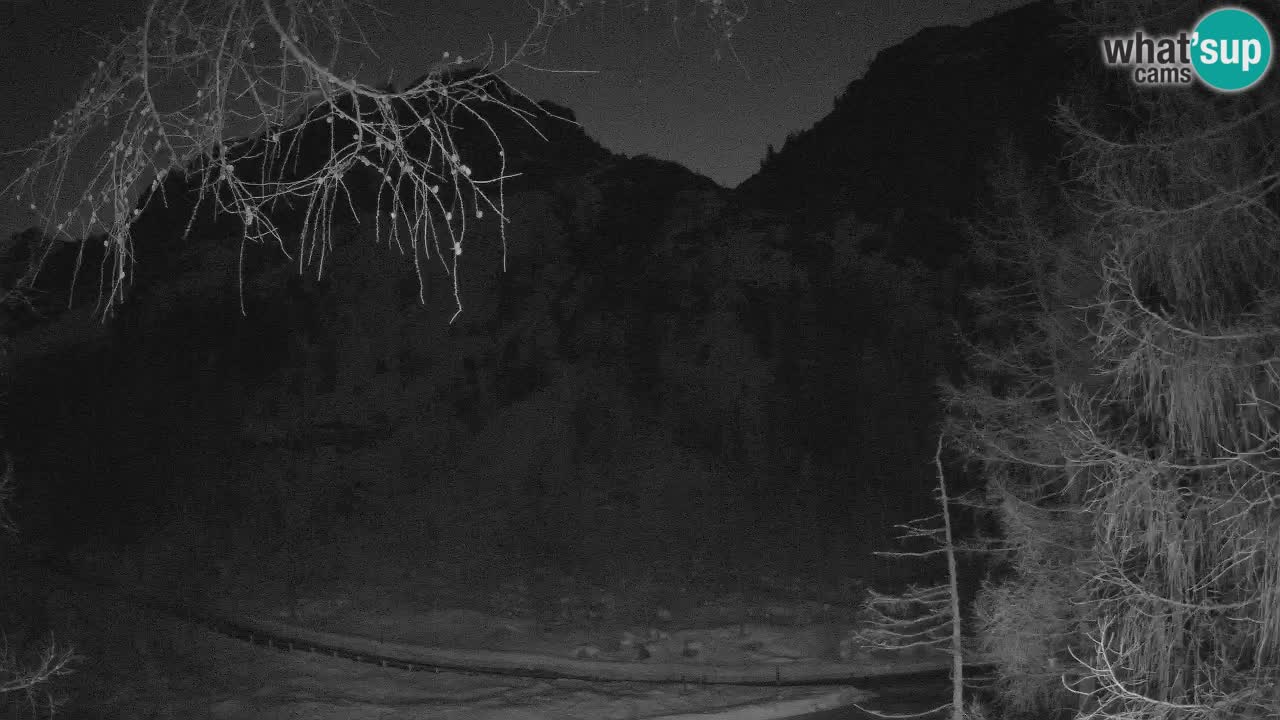 Webcam en direct Vršič – Maison Erjavčeva – Slovénie