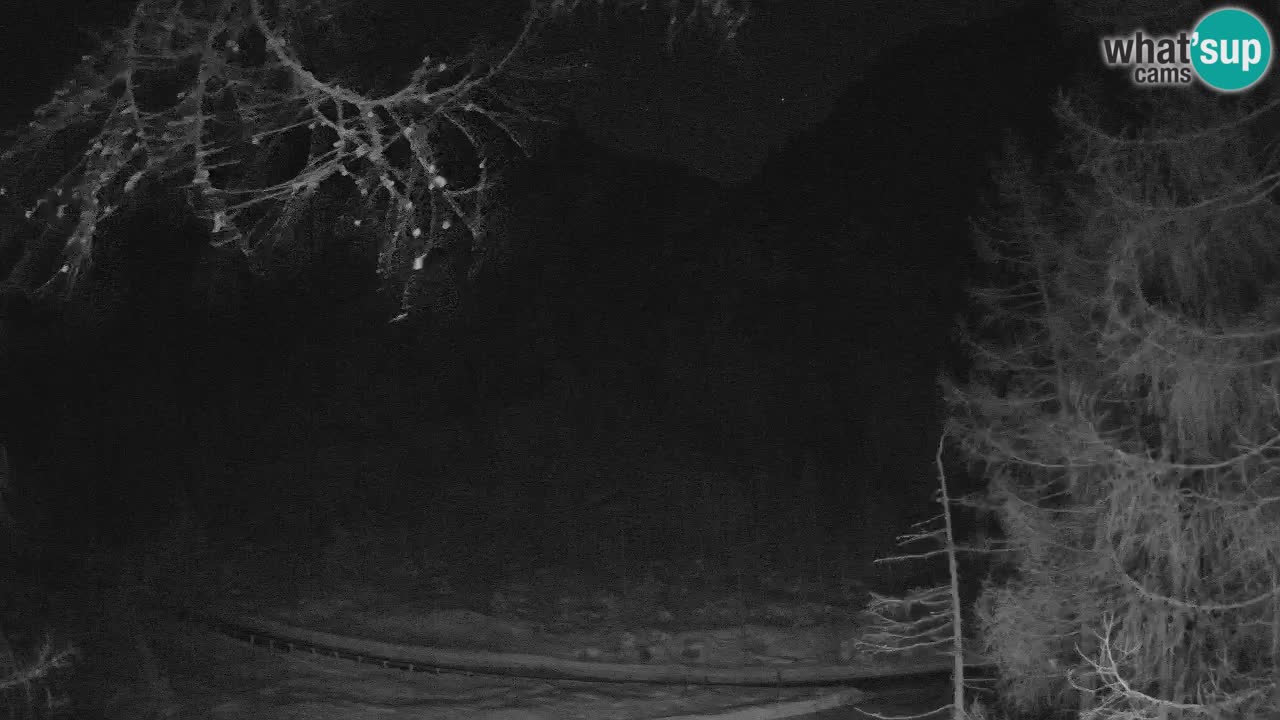 Live Webcam Vršič – Haus Erjavčeva – Slowenien