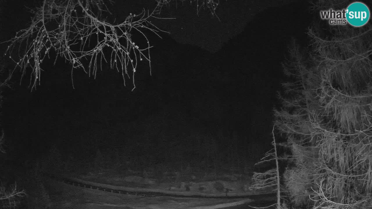 Webcam en direct Vršič – Maison Erjavčeva – Slovénie