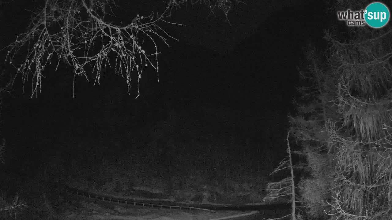 Live webcam Vršič – Erjavčeva house – Slovenia