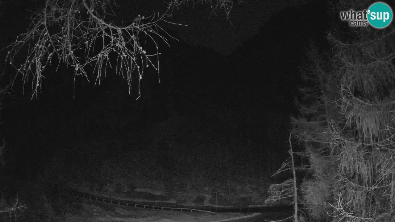 Live webcam Vršič – Erjavčeva house – Slovenia