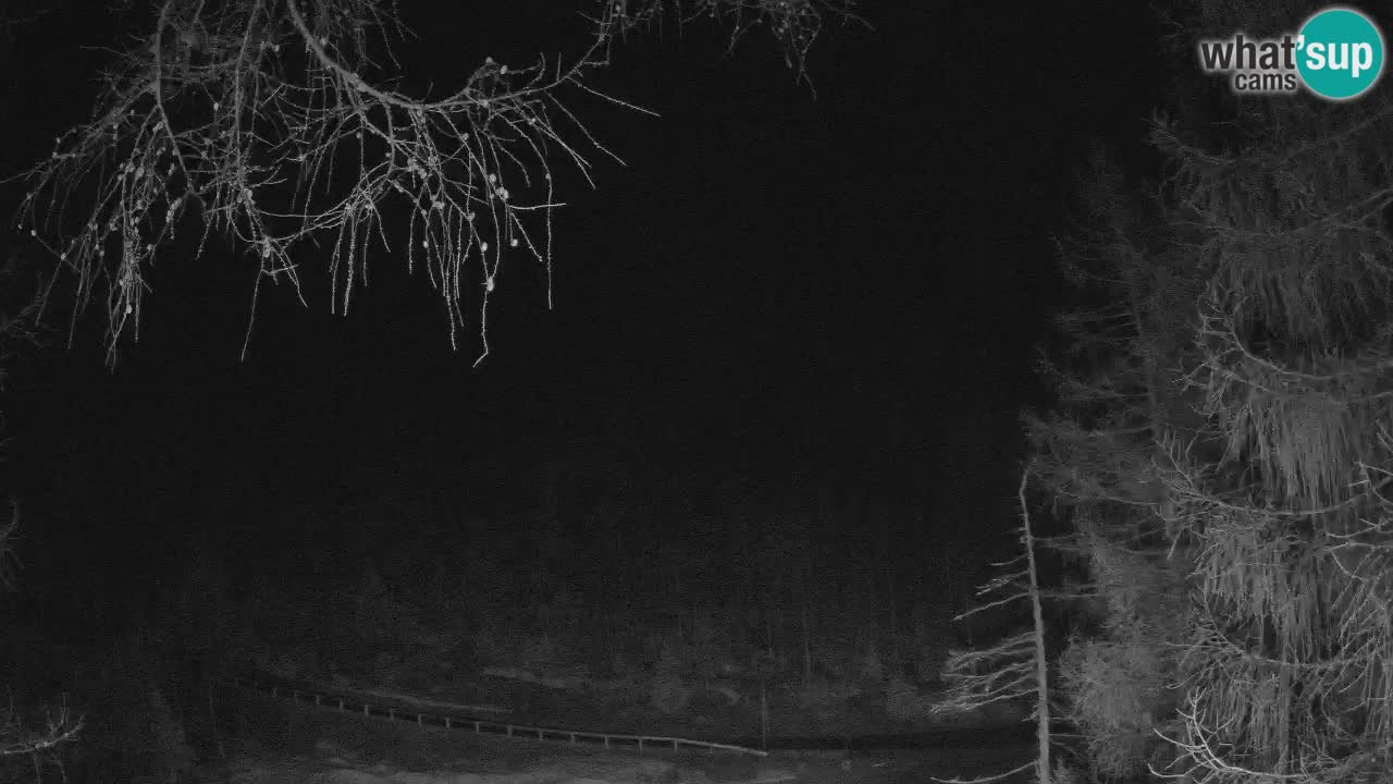 Cámara web en vivo Vršič – Casa Erjavčeva – Eslovenia