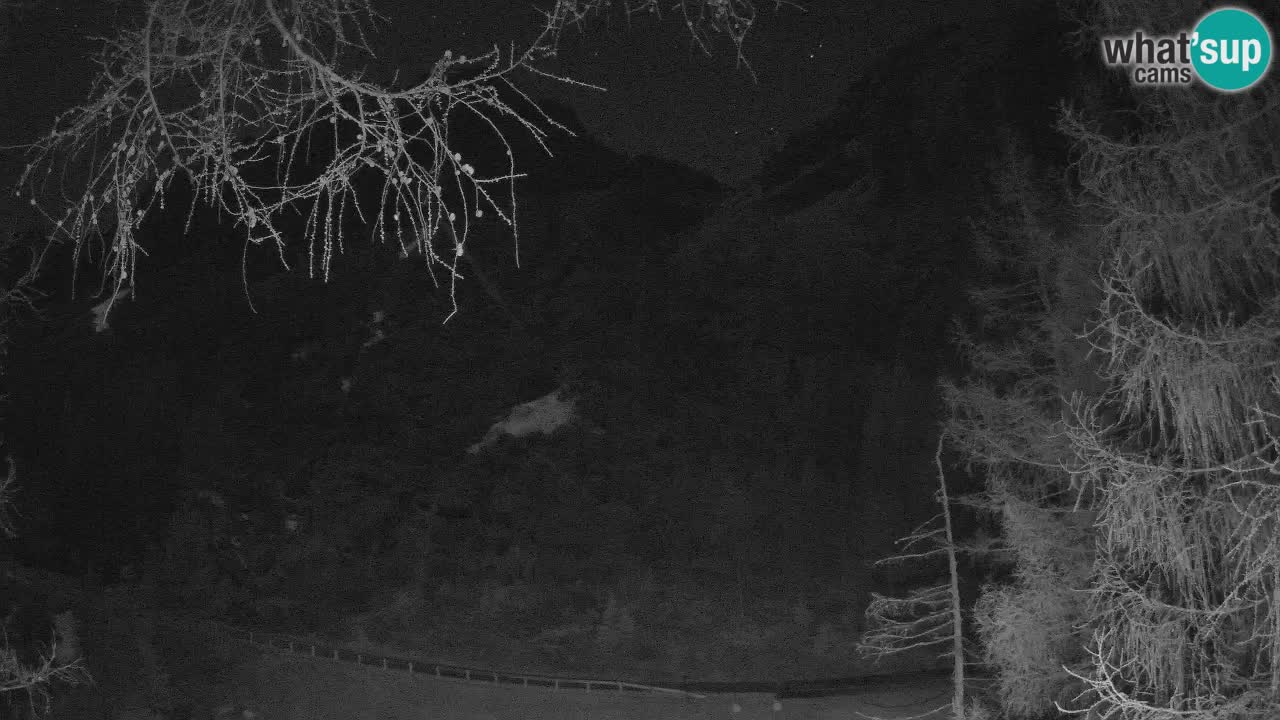 Webcam en direct Vršič – Maison Erjavčeva – Slovénie