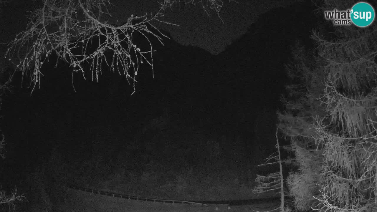 Webcam en direct Vršič – Maison Erjavčeva – Slovénie