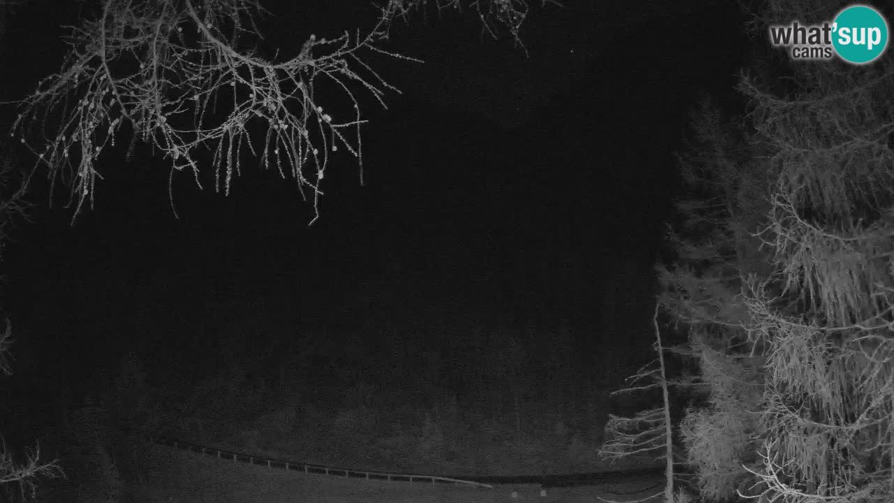 Web kamera Vršič – Erjavčeva kuca – Slovenija